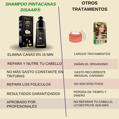 Adiós Canas, Shampoo Pinta canas Disaar hair care + ❤️ Guía digital de Bienestar de regalo